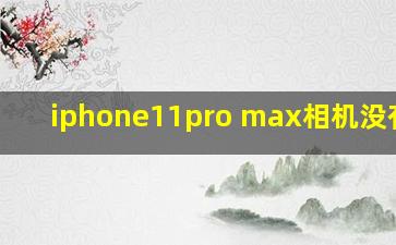 iphone11pro max相机没有0.5